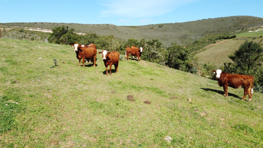 4 Bedroom Property for Sale in Mossel Bay Rural Western Cape